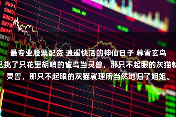 最专业股票配资 逍遥快活的神仙日子 暮雪玄鸟白猫 重生前，我给自己挑了只花里胡哨的雀鸟当灵兽，那只不起眼的灰猫就理所当然地归了姐姐。