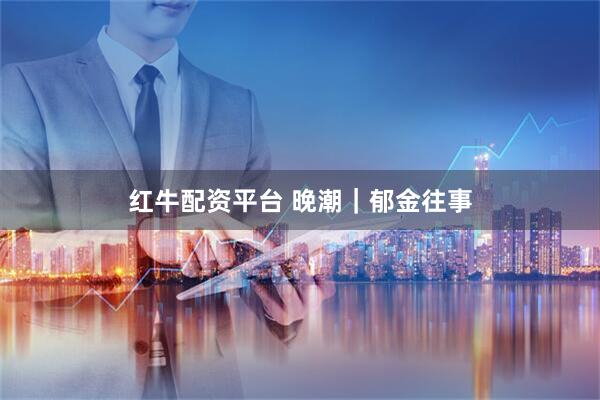 红牛配资平台 晚潮｜郁金往事