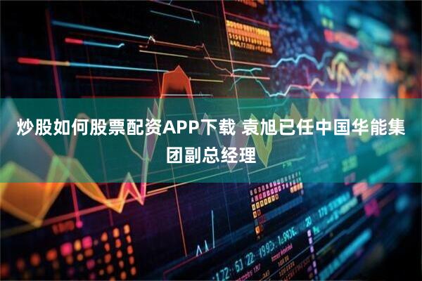 炒股如何股票配资APP下载 袁旭已任中国华能集团副总经理