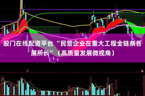 股门在线配资平台 “民营企业在重大工程全链条各展所长”(高质量发展微视角)